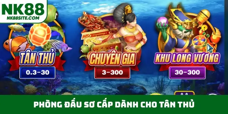 Phòng đấu sơ cấp dành cho tân thủ