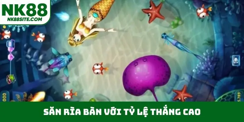 Săn rìa bàn với tỷ lệ thắng cao